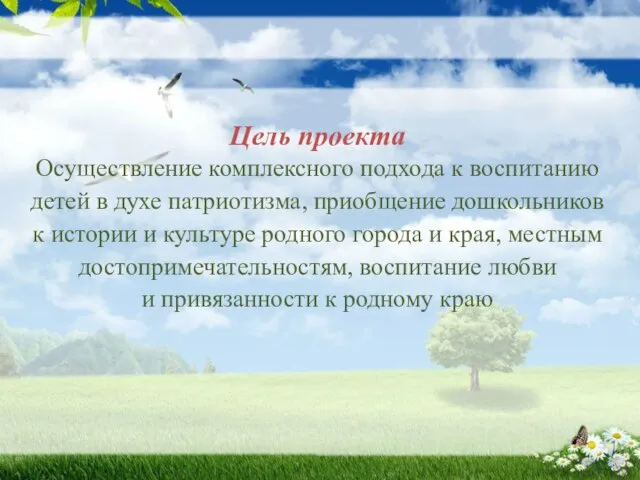 Цель проекта Осуществление комплексного подхода к воспитанию детей в духе патриотизма,