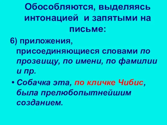 6) приложения, присоединяющиеся словами по прозвищу, по имени, по фамилии и