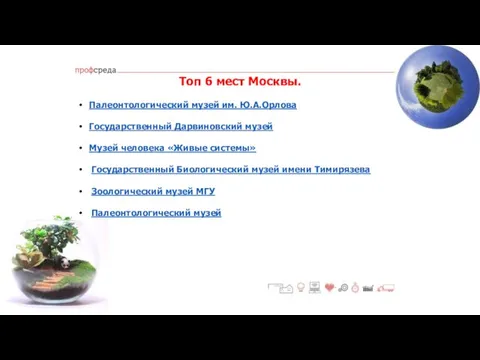 Топ 6 мест Москвы. Палеонтологический музей им. Ю.А.Орлова Государственный Дарвиновский музей