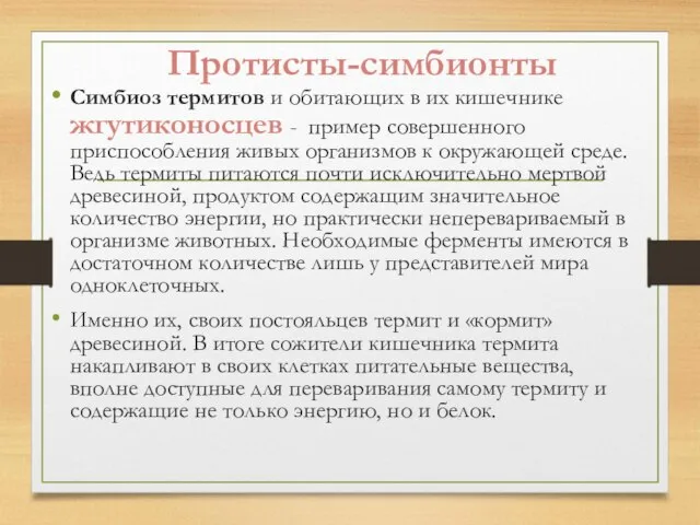 Протисты-симбионты Симбиоз термитов и обитающих в их кишечнике жгутиконосцев - пример