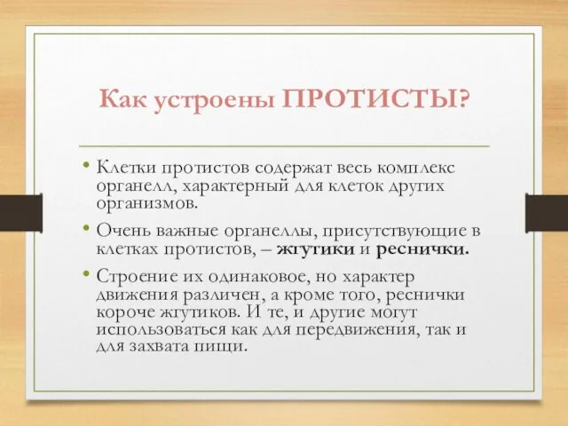 Как устроены ПРОТИСТЫ? Клетки протистов содержат весь комплекс органелл, характерный для