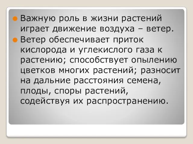 Важную роль в жизни растений играет движение воздуха – ветер. Ветер