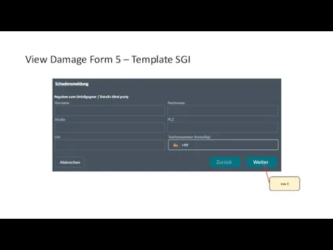 View Damage Form 5 – Template SGI Angaben zum Unfallgegner / Details third party view 6