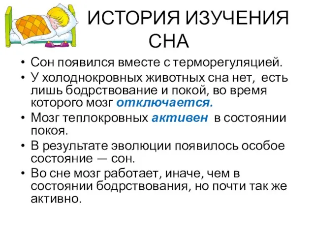 ИСТОРИЯ ИЗУЧЕНИЯ СНА Сон появился вместе с терморегуляцией. У холоднокровных животных