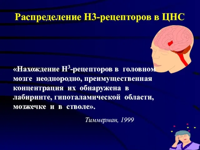 Распределение H3-рецепторов в ЦНС «Нахождение Н3-рецепторов в головном мозге неоднородно, преимущественная