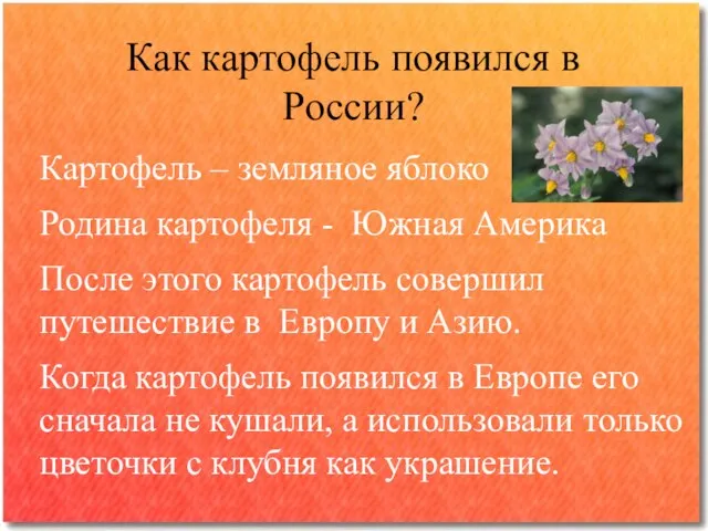 Как картофель появился в России? Картофель – земляное яблоко Родина картофеля