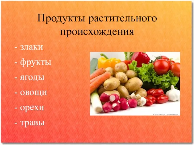 Продукты растительного происхождения - злаки - фрукты - ягоды - овощи - орехи - травы