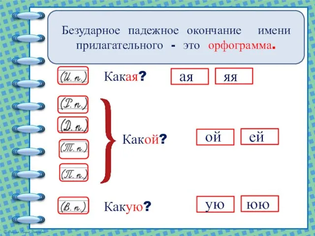 Какая? Какую? Какой? Определите, какую орфограмму у имён прилагательных женского рода