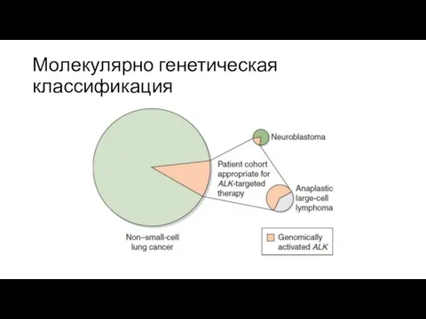 Молекулярно генетическая классификация