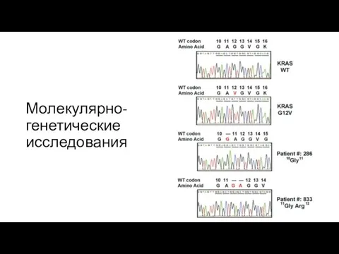 Молекулярно-генетические исследования