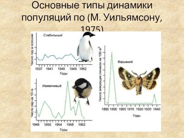 Основные типы динамики популяций по (М. Уильямсону, 1975)