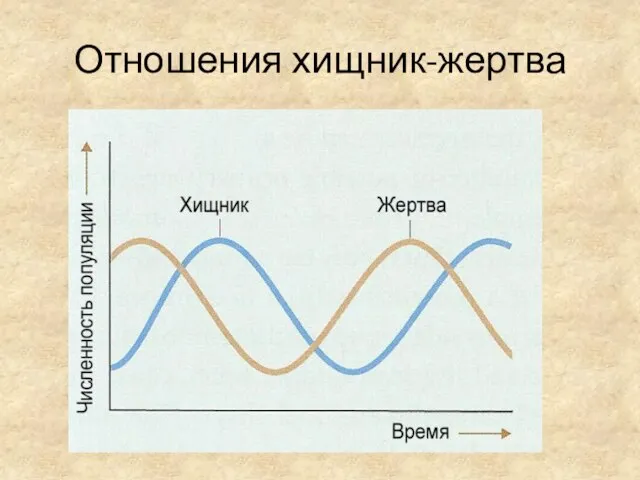 Отношения хищник-жертва