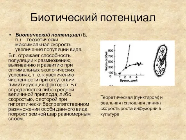 Биотический потенциал Биотический потенциал (Б.п.)— теоретически максимальная скорость увеличения популяции вида.