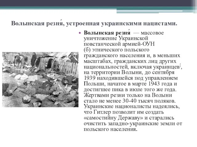 Волынская резня́, устроенная украинскими нацистами. Волынская резня́ — массовое уничтожение Украинской