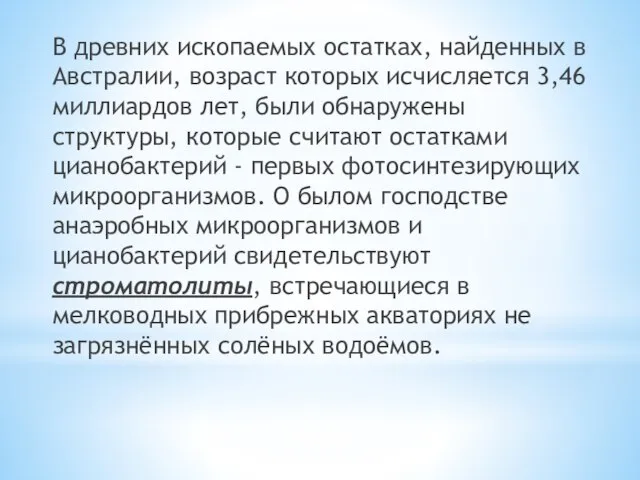 В древних ископаемых остатках, найденных в Австралии, возраст которых исчисляется 3,46