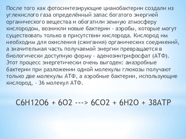 После того как фотосинтезирующие цианобактерии создали из углекислого газа определённый запас