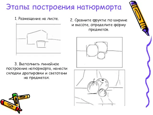 1. Размещение на листе. 2. Сравните фрукты по ширине и высоте,