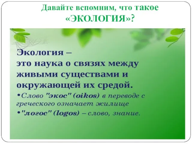 Давайте вспомним, что такое «ЭКОЛОГИЯ»?