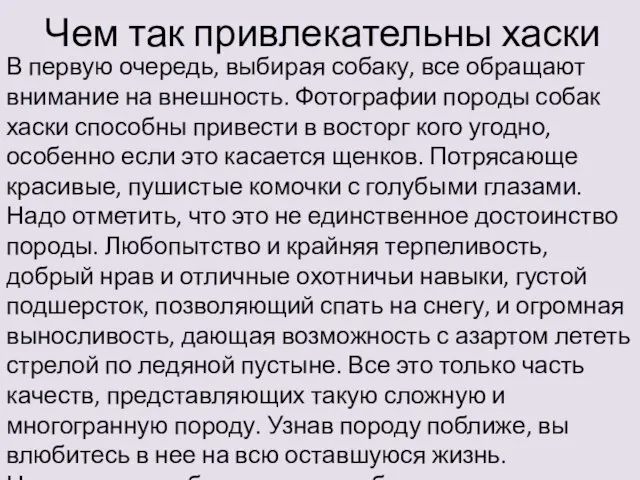 Чем так привлекательны хаски В первую очередь, выбирая собаку, все обращают