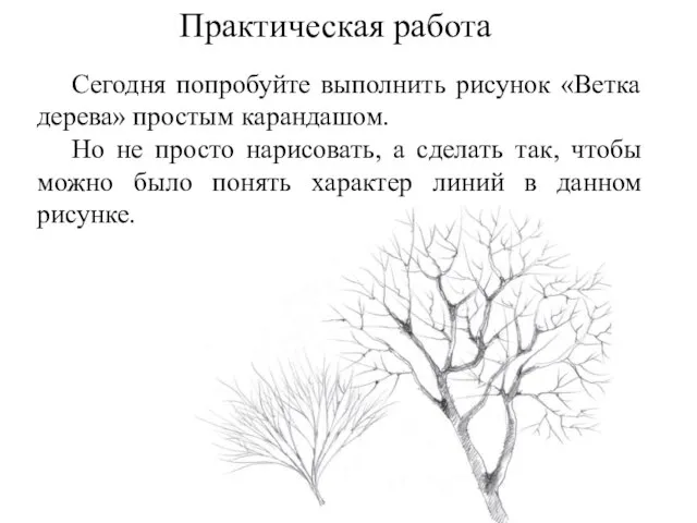 Сегодня попробуйте выполнить рисунок «Ветка дерева» простым карандашом. Но не просто