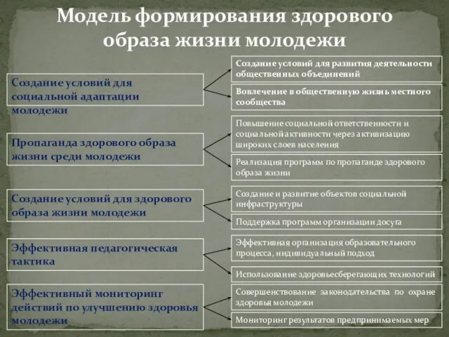 Модель формирования здорового образа жизни молодежи Создание условий для социальной адаптации