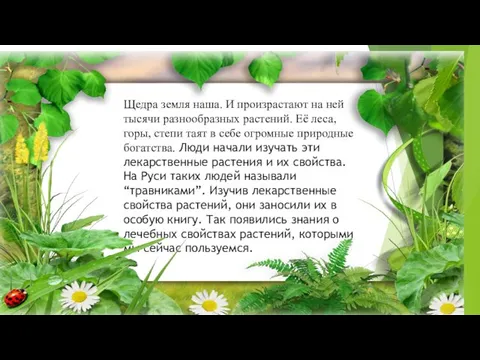 Щедра земля наша. И произрастают на ней тысячи разнообразных растений. Её