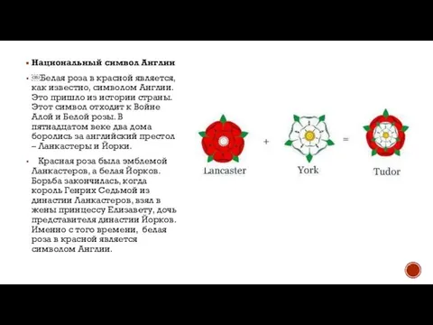 Национальный символ Англии ￼Белая роза в красной является, как известно, символом