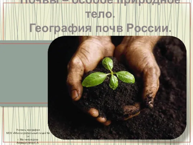 Почвы – особое природное тело. География почв России. Учитель географии МОУ