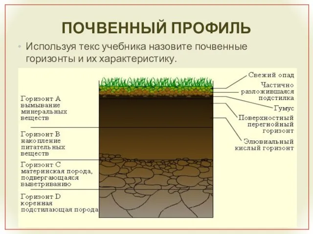 ПОЧВЕННЫЙ ПРОФИЛЬ Используя текс учебника назовите почвенные горизонты и их характеристику.