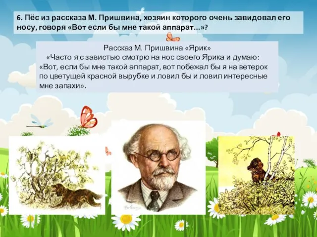 6. Пёс из рассказа М. Пришвина, хозяин которого очень завидовал его