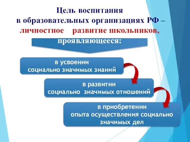 Цель воспитания в образовательных организациях РФ – личностное развитие школьников, проявляющееся: