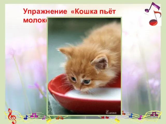 Упражнение «Кошка пьёт молоко»