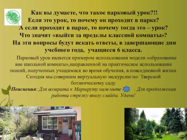 Как вы думаете, что такое парковый урок?!! Если это урок, то