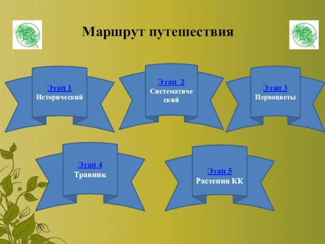 Этап 1 Исторический Маршрут путешествия Этап 2 Систематический Этап 3 Первоцветы