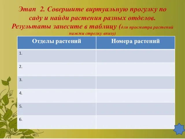 Этап 2. Совершите виртуальную прогулку по саду и найди растения разных