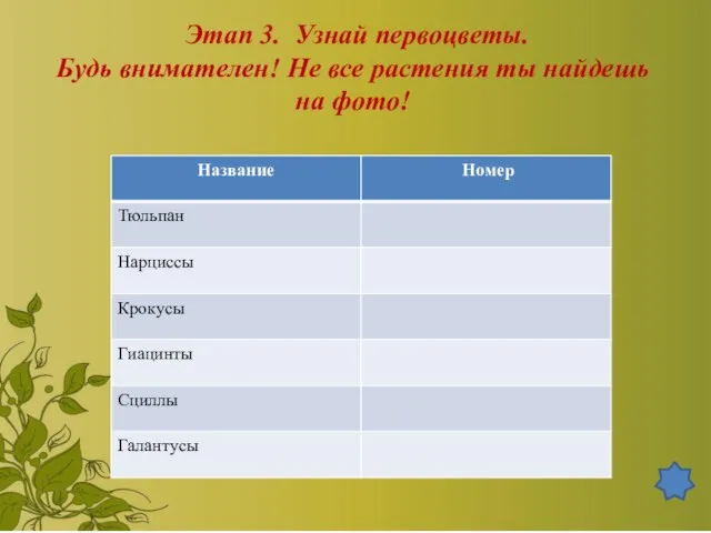 Этап 3. Узнай первоцветы. Будь внимателен! Не все растения ты найдешь на фото!