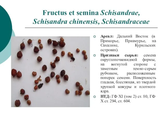 Fructus et semina Schisandrae, Schisandra chinensis, Schisandraceae Ареал: Дальний Восток (в