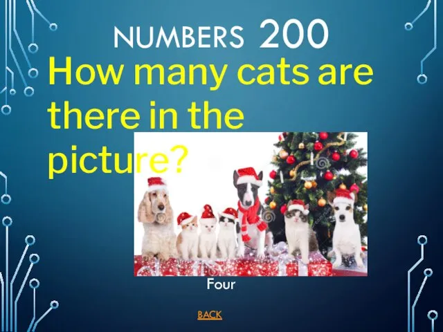 BACK NUMBERS 200 Four How many cats are there in the picture?