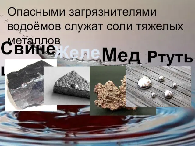 Опасными загрязнителями водоёмов служат соли тяжелых металлов Свинец Железо Медь Ртуть