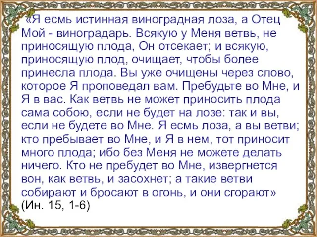 «Я есмь истинная виноградная лоза, а Отец Мой - виноградарь. Всякую