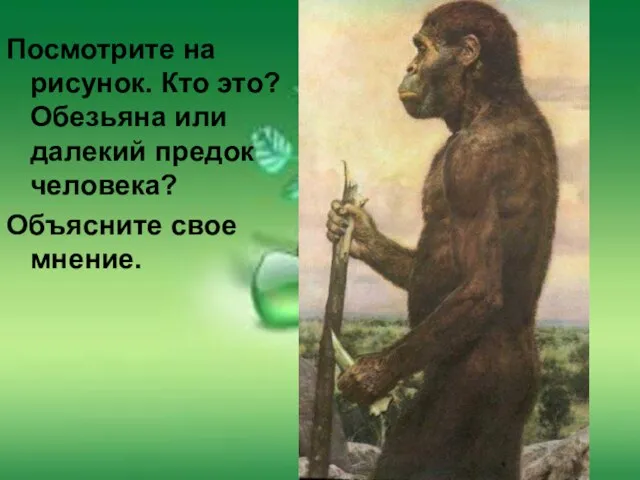 Посмотрите на рисунок. Кто это? Обезьяна или далекий предок человека? Объясните свое мнение.