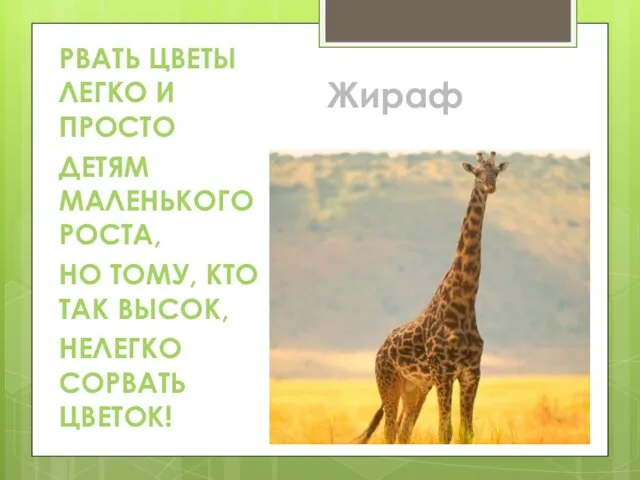 РВАТЬ ЦВЕТЫ ЛЕГКО И ПРОСТО ДЕТЯМ МАЛЕНЬКОГО РОСТА, НО ТОМУ, КТО