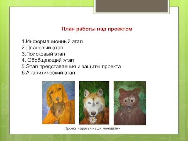 План работы над проектом 1.Информационный этап 2.Плановый этап 3.Поисковый этап 4.