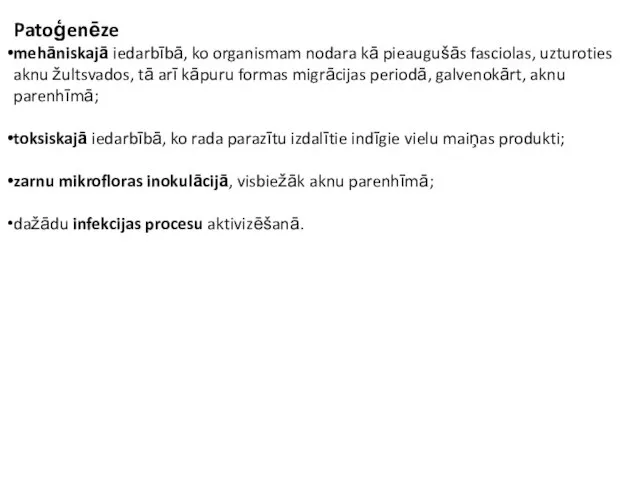 Patoģenēze mehāniskajā iedarbībā, ko organismam nodara kā pieaugušās fasciolas, uzturoties aknu