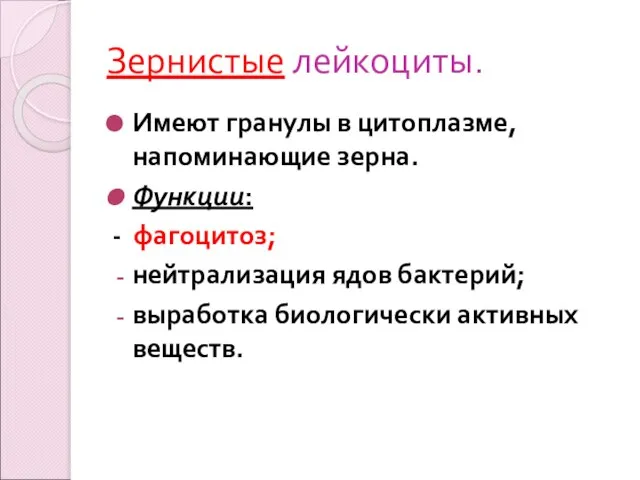 Зернистые лейкоциты. Имеют гранулы в цитоплазме, напоминающие зерна. Функции: - фагоцитоз;