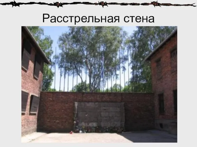 Расстрельная стена