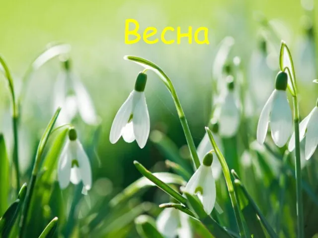 Весна Выход Весна