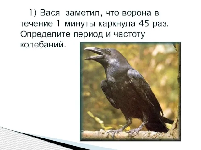 1) Вася заметил, что ворона в течение 1 минуты каркнула 45