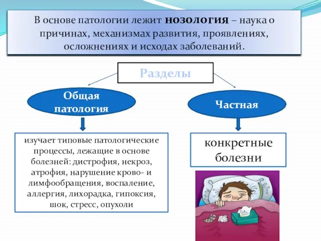 В основе патологии лежит нозология – наука о причинах, механизмах развития,