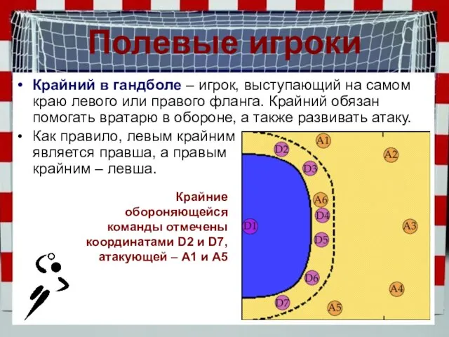 Полевые игроки Крайний в гандболе – игрок, выступающий на самом краю